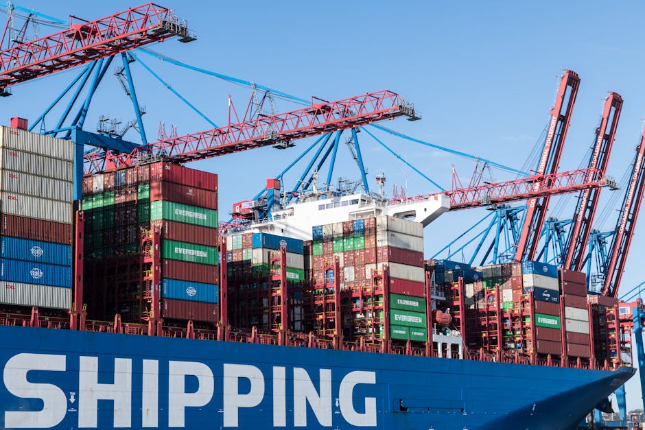 Docker 入门：告别'在我电脑上能跑'的尴尬