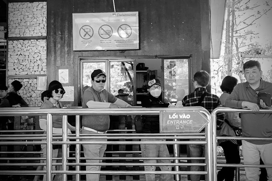 【数据结构入门】队列：公平的排队专家